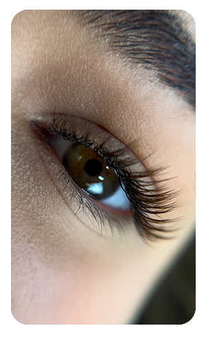 lash extensions active lash extensions active